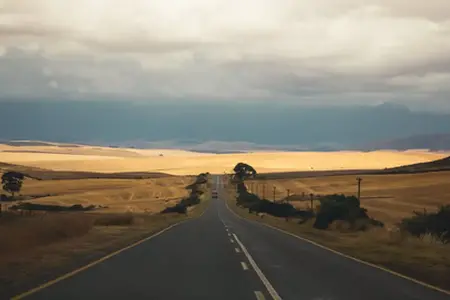 2024 Bulgaristan Vinyet Satın Alma ✔️