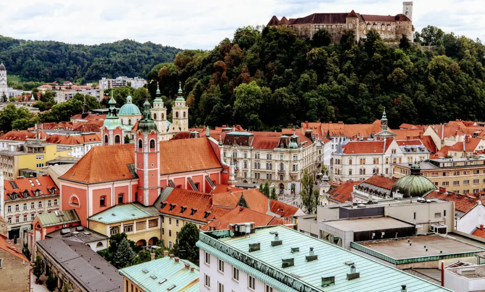 2024 Slovenya Otoyol Vinyeti satın al - Slovenya Otoyol Ağı'nı keşfet!